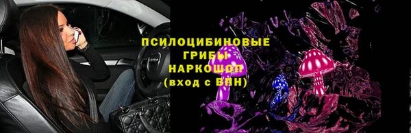 дживик Вязьма