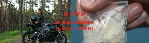 мяу мяу мука Гусев