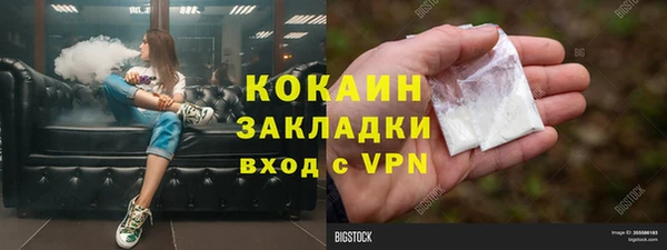 бошки Горняк