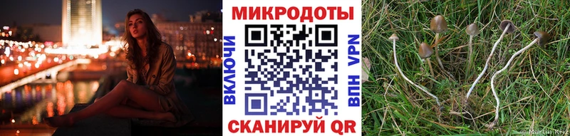 Галлюциногенные грибы Psilocybe mega ссылка Завитинск