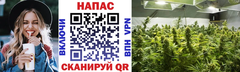 Конопля марихуана  Завитинск 